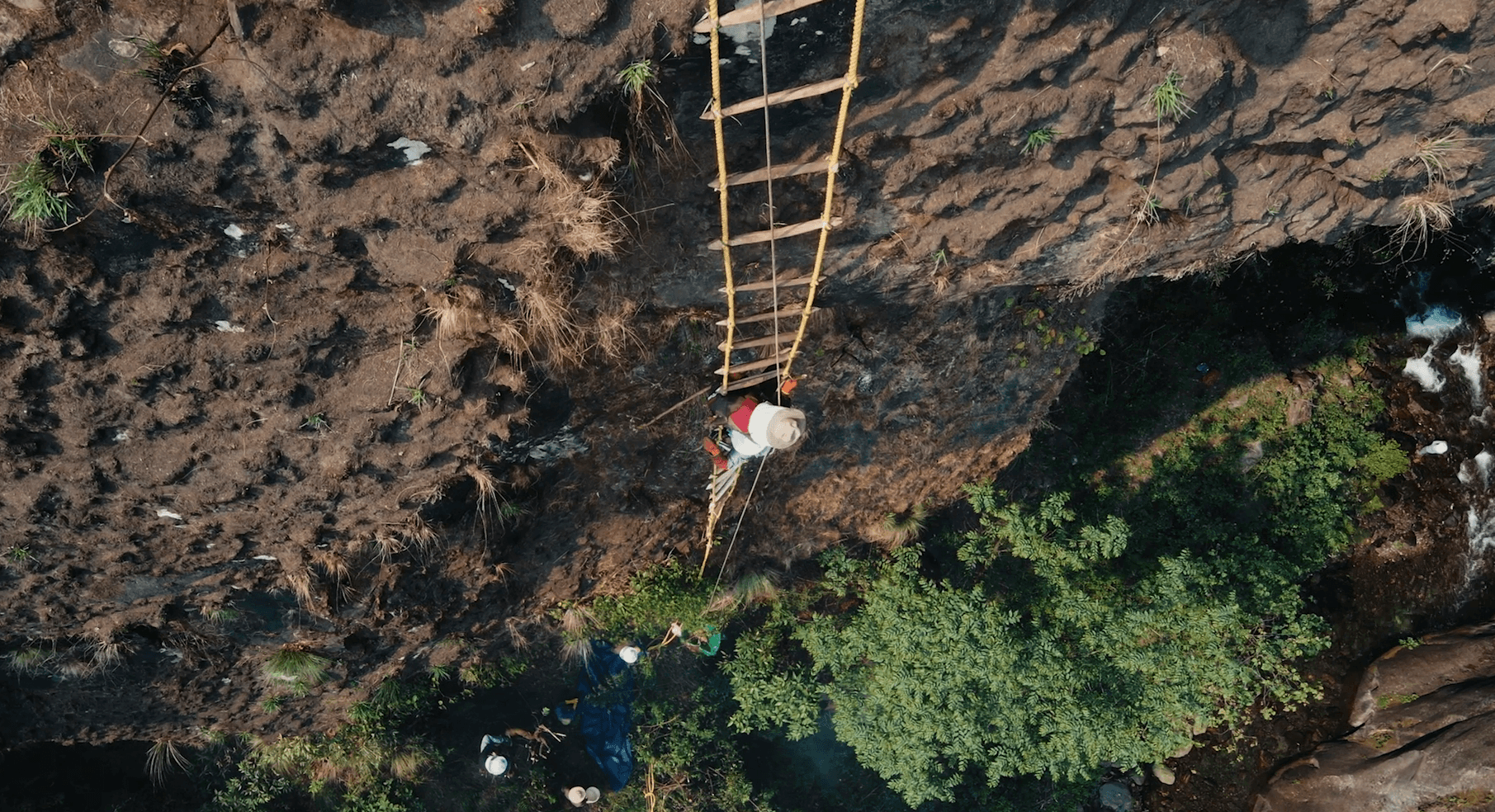 mhs-honey-hunter-ladder-8 - Mad Honey Supply